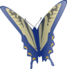 Blue And Gray Butterfly Clip Art